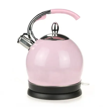 Stainless Steel European Electric Teapot