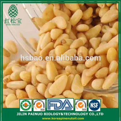 Promotion Grade A Wild Harvest Chinese Red Pine Nut Kernels
