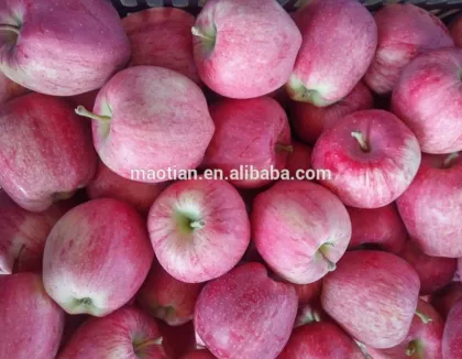2017 Fresh Red Star Apple