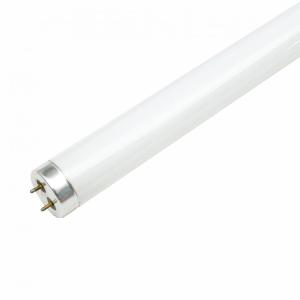 T8 standard straight tube fluorescent lamp