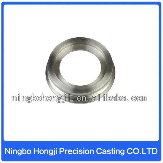 China OEM Flange Stainless Steel Flange/ Die Casting Flange