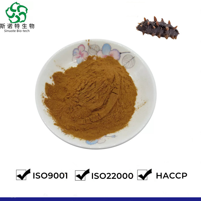 ISO Certifide SEA CUCUBBUMER EXTRACT POUDRE