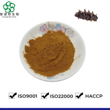 ISO Certifide Sea Cucumber Extract Powder