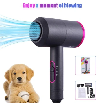 secador de pelo para perros secador de mascotas profesion
