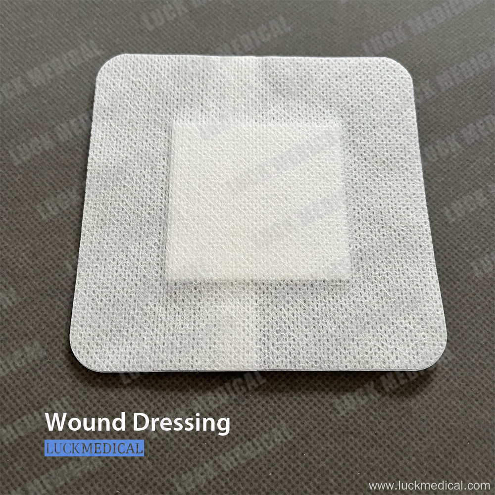 Wound Dressing for Surgical Use