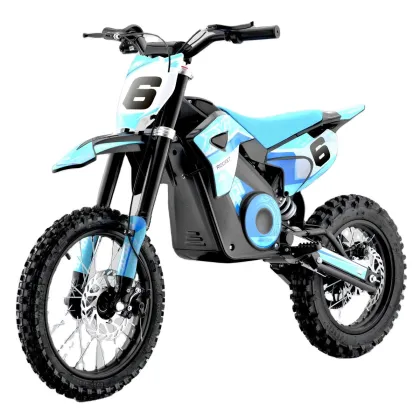 Tao Motor 48V 1300W Electric City Bike