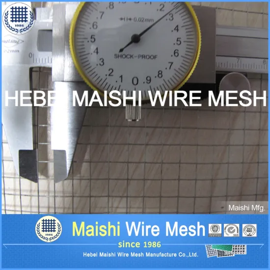 Welded Wire Mesh (28 Years Factory)