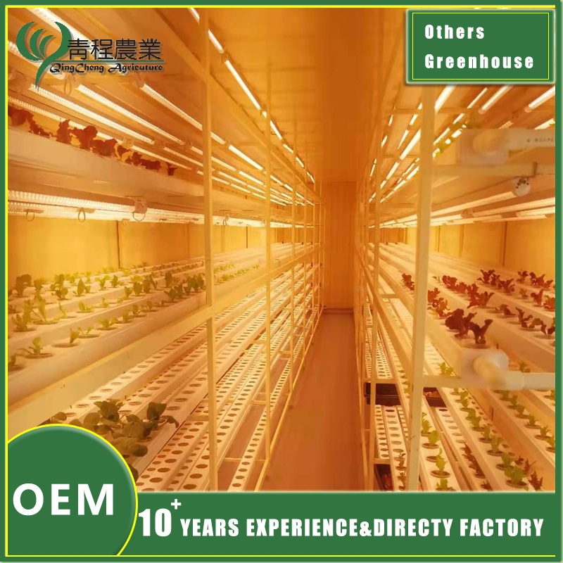 greenhouse for commercial farming