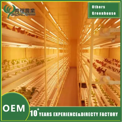 Innovative Planting Greenhouse Design for Agriculture