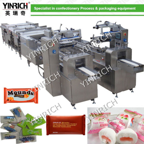 Automatic Feeding and Pillow-Type Packing Machine (DXD1000-1, 1000-2)