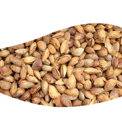 Bulk Raw Whole California Almonds Price Kernel