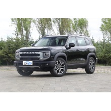 Haval Dargo 2.0T 2WD/4WD Gasoline SUVs