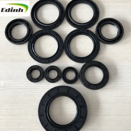 High Quality Custom SOG Oil Seal 13x22x5 mm BRG TC NBR