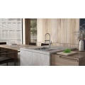 304 Single Bowl NANO Color Kitchen Sink