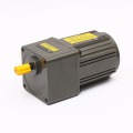 single phase AC Gear Motor 40W 220V