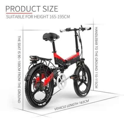 LANKELEISI G650 20 Inches Foldable Electric Bike