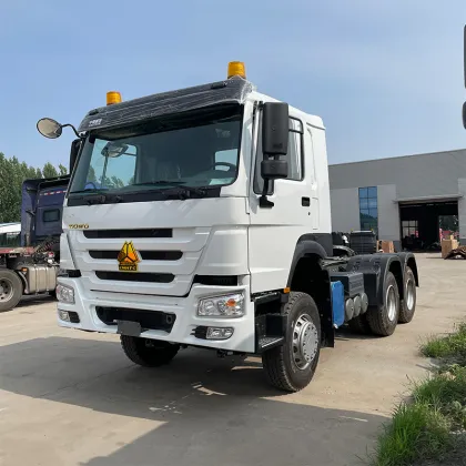 Sinotruck Howo Special Purpose Vehicle Drive Truck for Sale