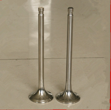 Russia heavy duty machinery engine valve for CHTZ-T170