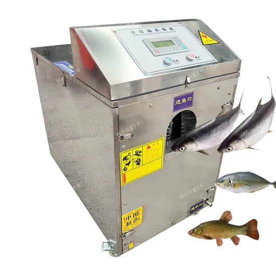 High Speed Tilapia Gutting and Cleaning Machine