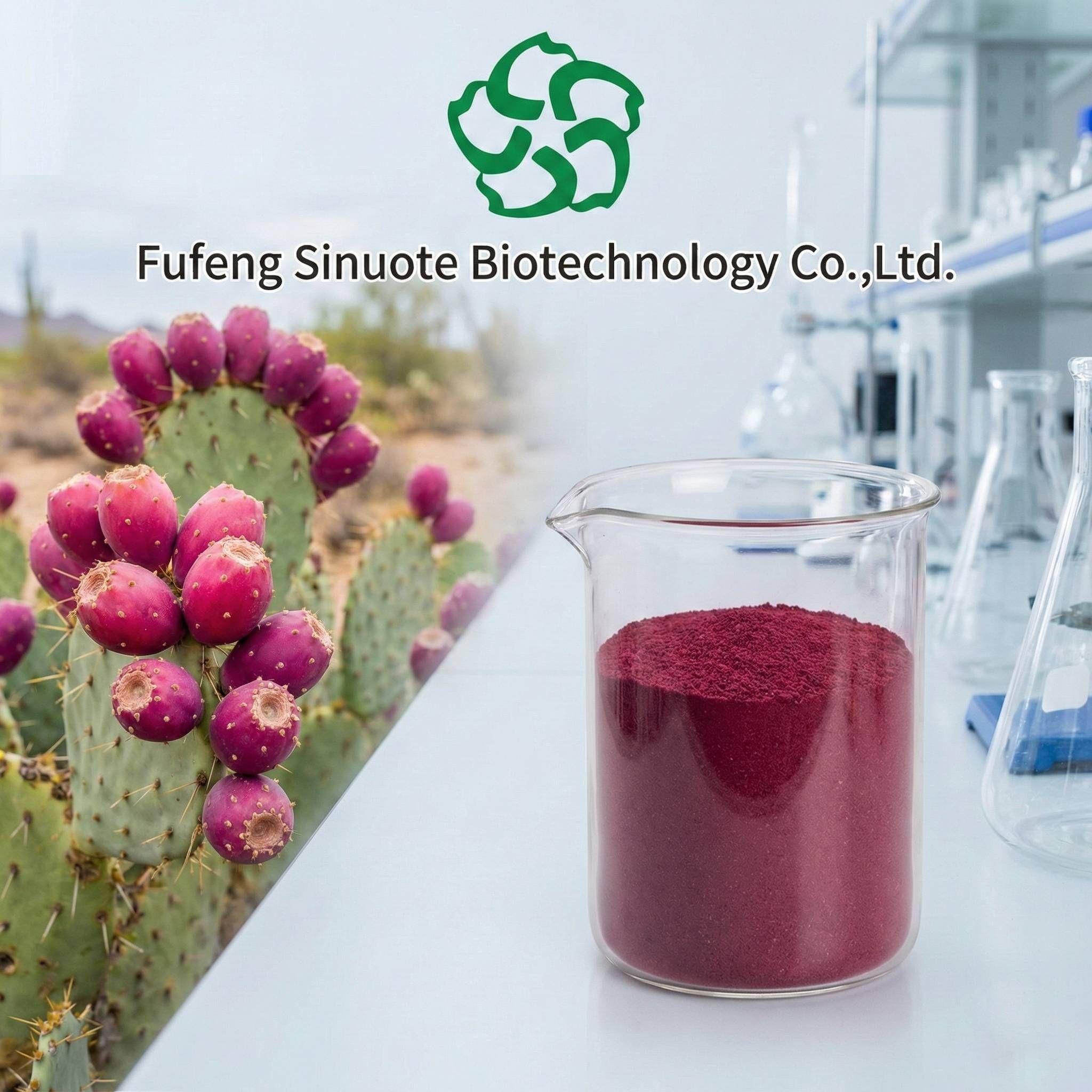Pure-Opuntia-Dillenii-Cactus-Extract-for-Skin-and-Hair-Care (1)
