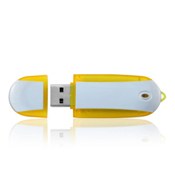 Promotion Plastic USB Flash Drive 8GB with Logo