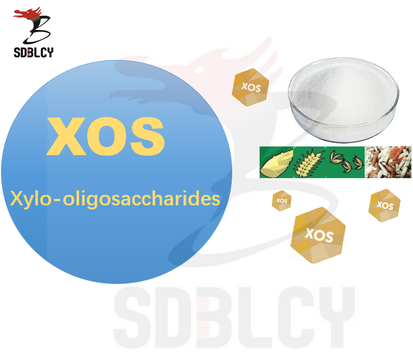 Super bifidus Factor Xos Xylo-Oligosacharide 70 PODIZ