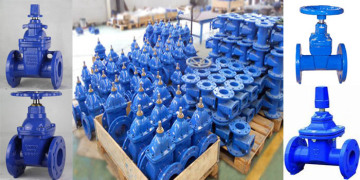 Ductile iron gate valve