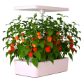 Indoor Intelligent Mini Farm Hydroponic Growing Systems