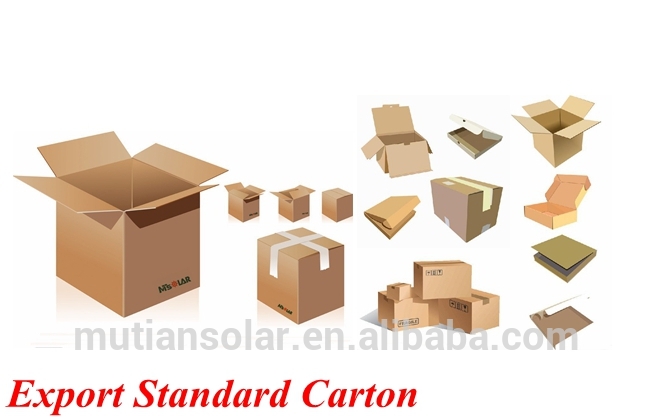 Export Standrad Carton.jpg