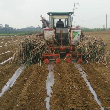 Dubbelrader Sugarcane Kombinera Planter