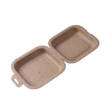 Biodegradable Recycled Clamshell Pulp Molded Package Box