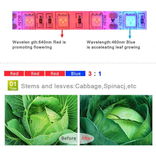 Full Spectrum LED Grow Light 5050 12V