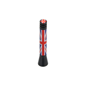 Car modified national flag antenna for BMW mini78mm