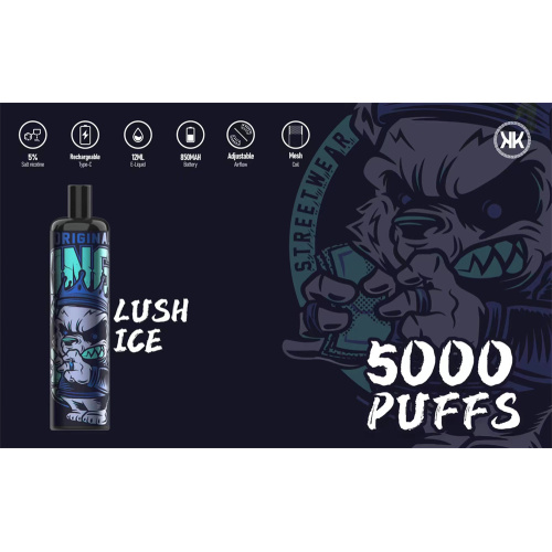 Electronic Energy Disposable Vape 5000Puffs