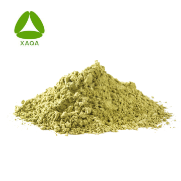 Organic Food Grade Brasil Leaf Extract Powder 10:1