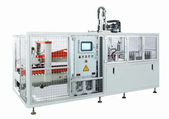 Full-automatic Bottle/Bag/Can Case Packer Carton Packing Machine