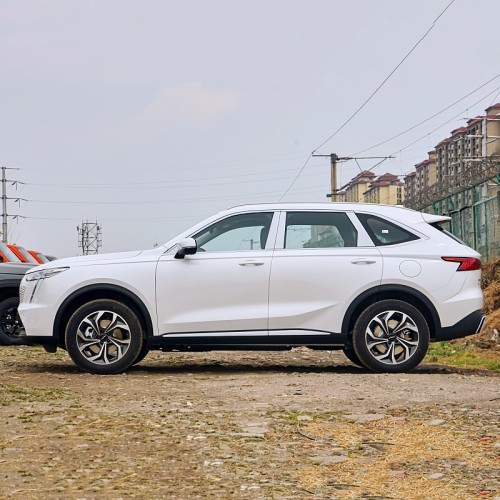 Mid size car haval xiaolong max