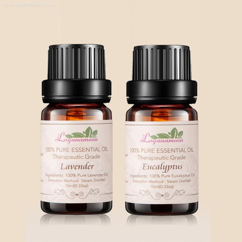 Aromaterapia Aceites Esenciales 6 Set Nuevos Productos 2018