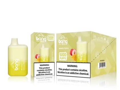 Bang BC 5000PUFFS Wholesale Disposable Vape