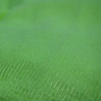 Mercerized Velvet, Made of Polyester