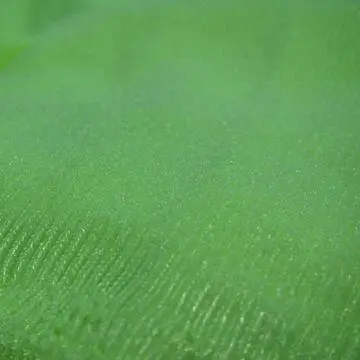 Mercerized Velvet, Made of Polyester