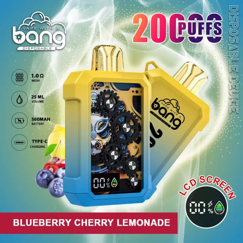 Wholesales Bang 20000Puffs Eshisha Mesh coil Disposable Vape