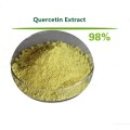 Top quality pure Quercetin Extract 98% health care 500g-1000g