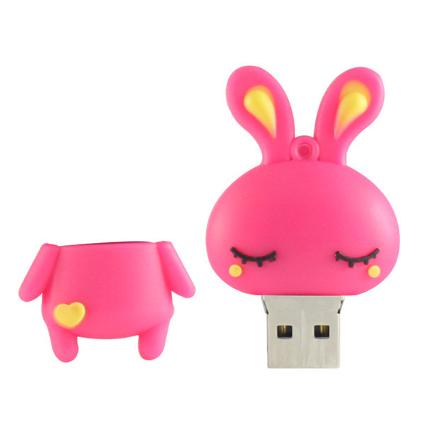 Cute USB Flash Drive