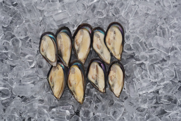 Frozen Mussel Meat Frozen Cooked Mussel