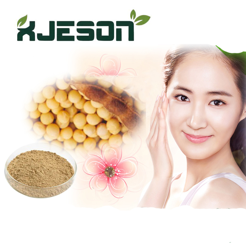 Soybean Extract Powder