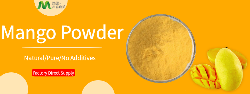 Spray Dried Mango Powder