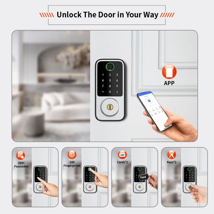 Интеллектуальная серебряная хвоя