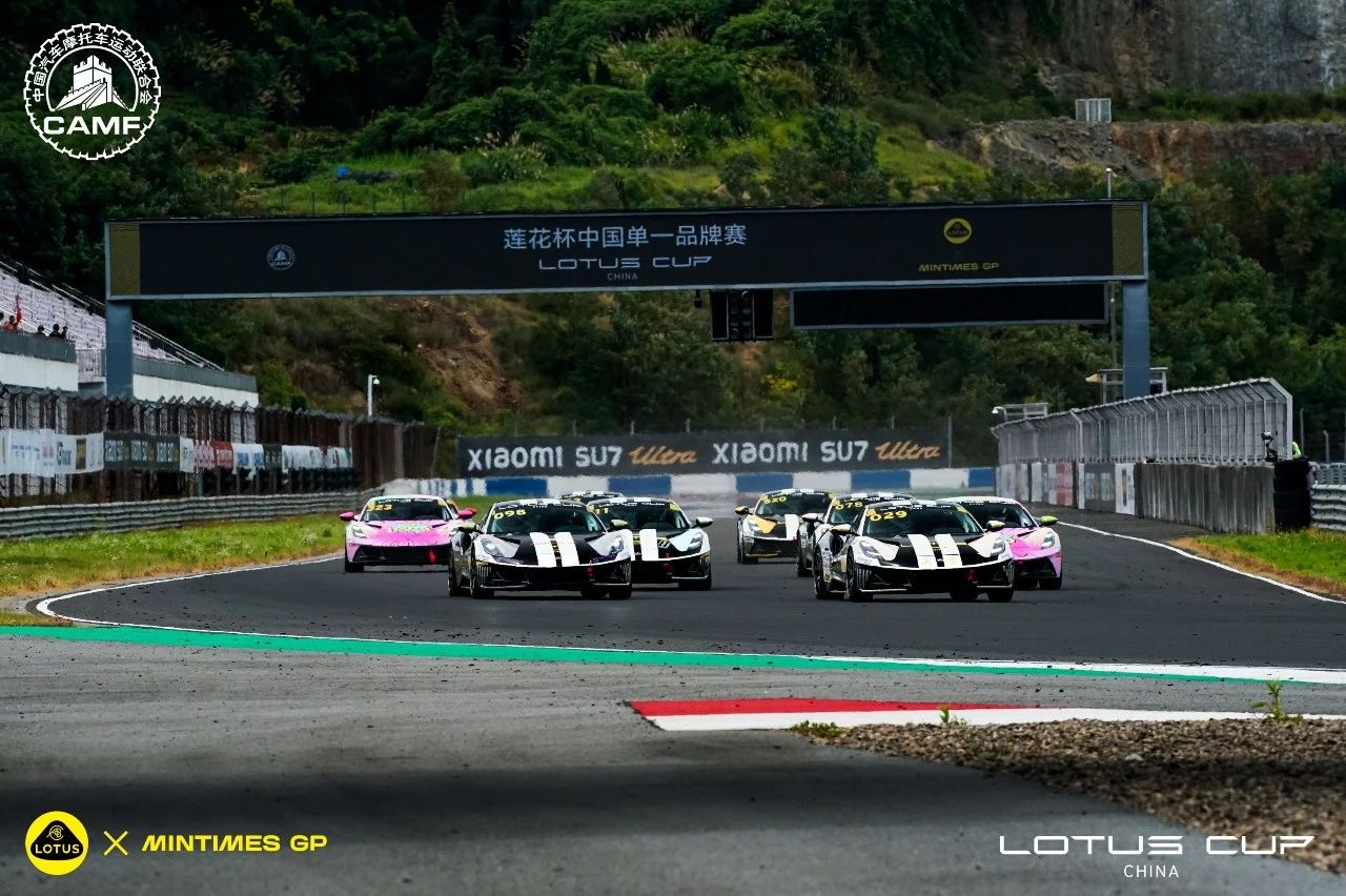 LOTUS Cupb2