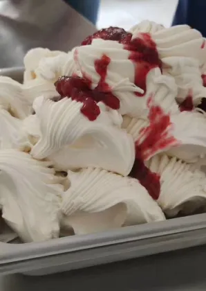 Vertical Gelato and Ice Cream Machine for Fresh Fruits